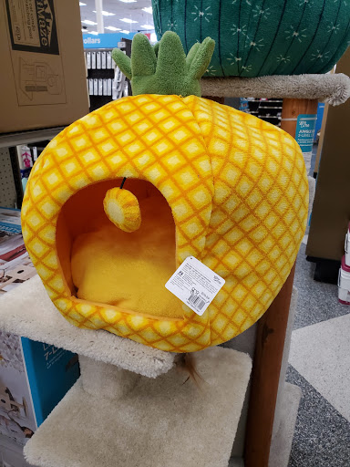 Pet Supply Store «Petco Animal Supplies», reviews and photos, 5215 Lakewood Blvd, Lakewood, CA 90712, USA