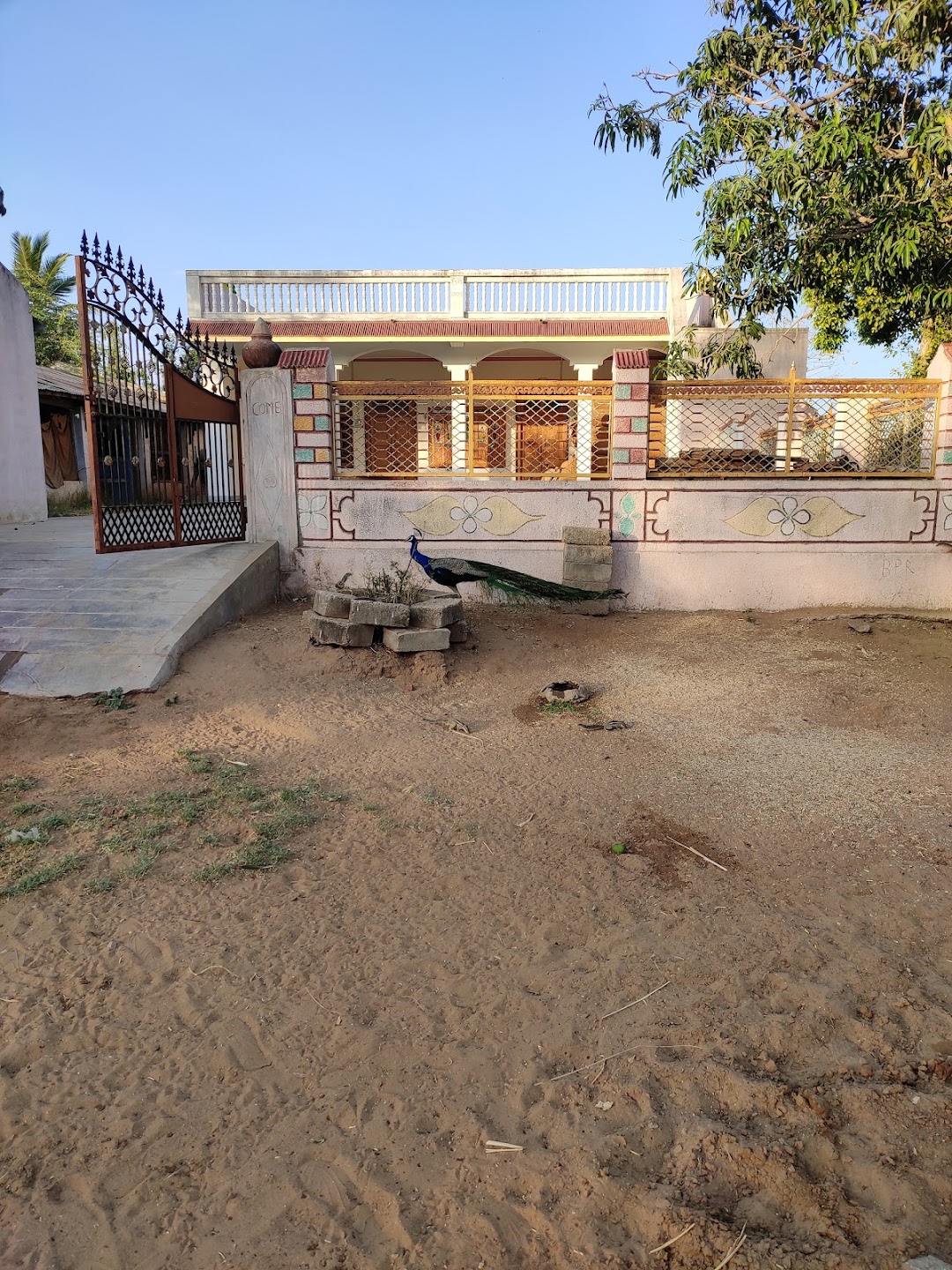 નવોડ ફાર્મ હાઉસ
