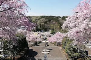 Iruma Memorial Park image