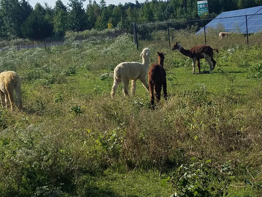 Liquor Store «Liquor Barn», reviews and photos, 1051 Florence Columbus Rd a, Bordentown, NJ 08505, USA