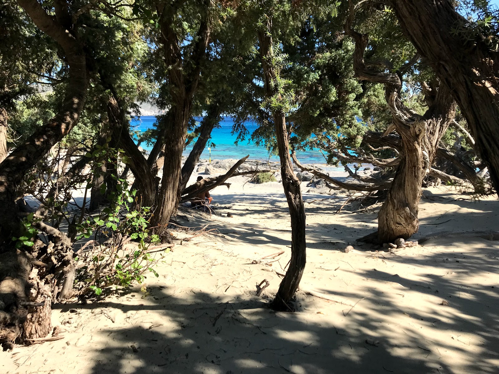 Foto van Kedrodasos Strand met turquoise puur water oppervlakte