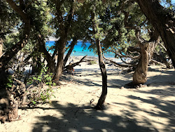 Foto di Kedrodasos Spiaggia con costa lunga e dritta