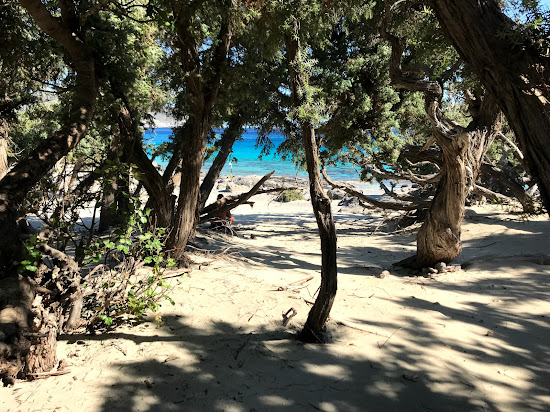 Plage de Kedrodasos