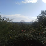 Photo n°6 de l'avis de A. fait le 13/10/2019 à 17:17 sur le  Waldgaststätte Pfalzblick à Ruppertsberg