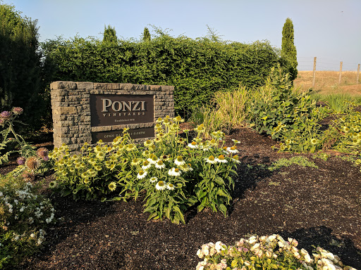 Vineyard «Ponzi Winery», reviews and photos, 19500 SW Mountain Home Rd, Sherwood, OR 97140, USA