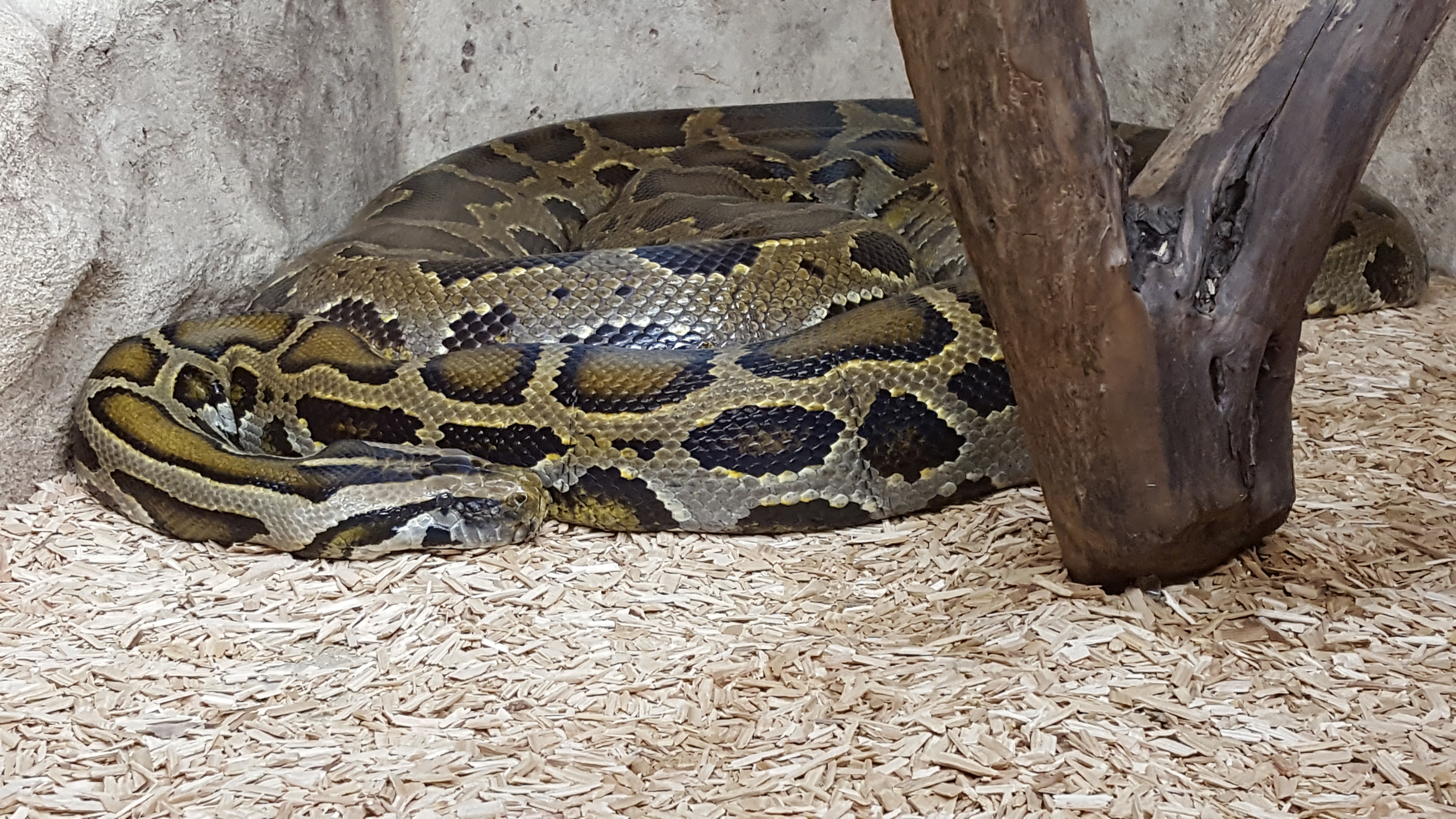 Photo n° 6 de l'avis de Thierry. fait le 23/07/2019 à 16:52