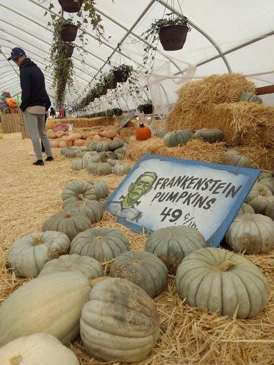 Produce Market «Kuwahara Farms», reviews and photos, 736 12300 S, Draper, UT 84020, USA