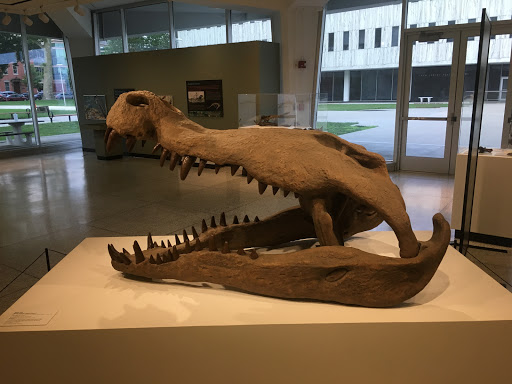 Museum «New Jersey State Museum», reviews and photos, 205 W State St, Trenton, NJ 08608, USA