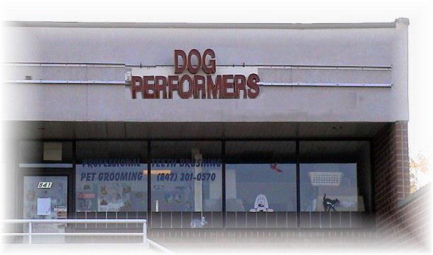 Dog Performers