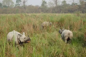 Kaziranga National Park image