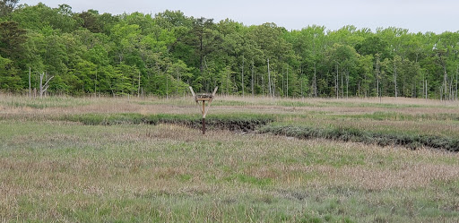 Nature Preserve «Eldora Nature Preserve», reviews and photos, 2350 NJ-47, Delmont, NJ 08314, USA