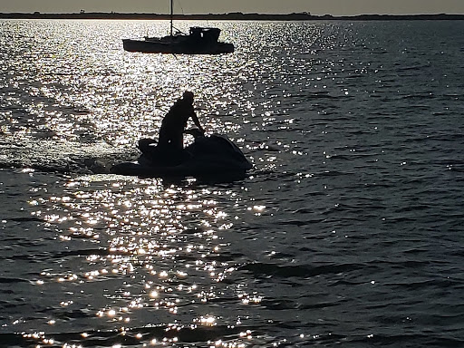 Park «Edgewater Park», reviews and photos, 51 Main St, Dunedin, FL 34698, USA