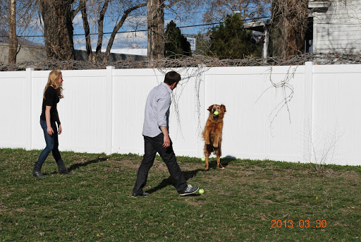 Dog Day Care Center «Central Park Pet Retreat», reviews and photos, 55 Miller Ave S, Salt Lake City, UT 84115, USA