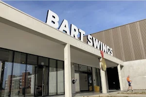 Bar Swings image