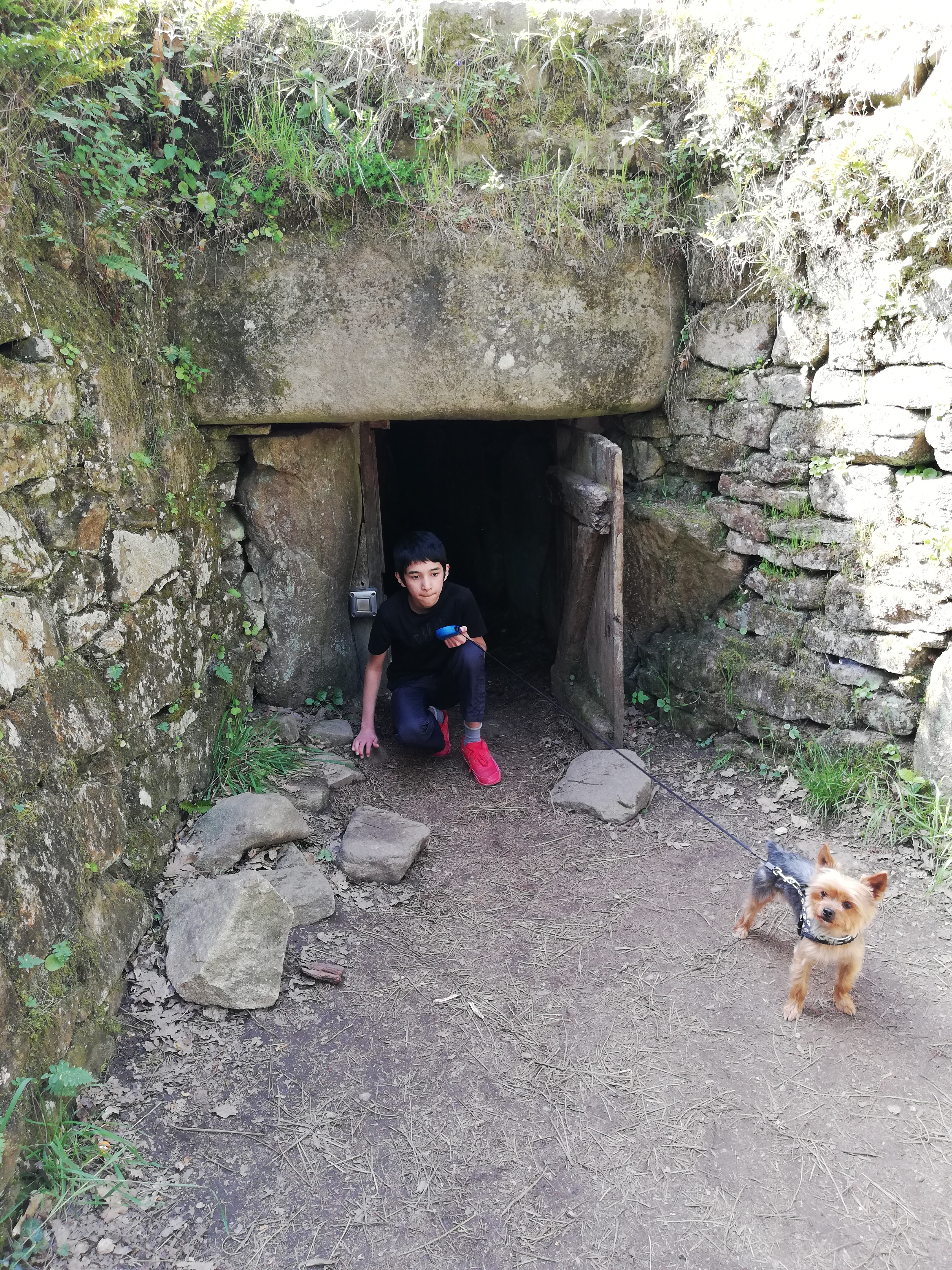 Photo n° 1 de l'avis de Frederic.t fait le 10/07/2019 à 12:02