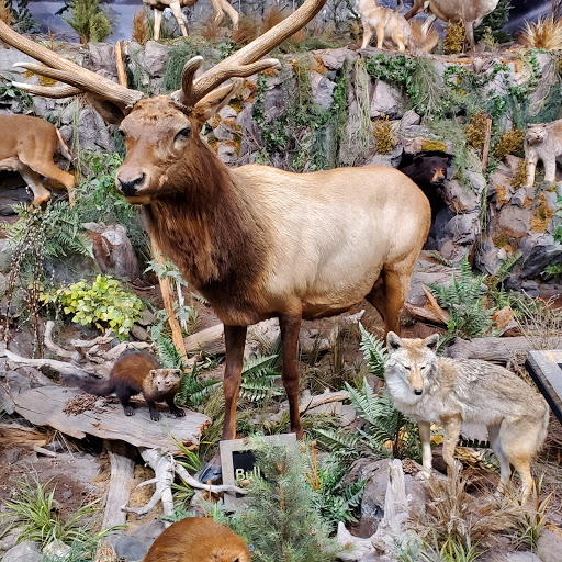 Shopping Mall «Asheville Outlets», reviews and photos, 800 Brevard Rd, Asheville, NC 28806, USA