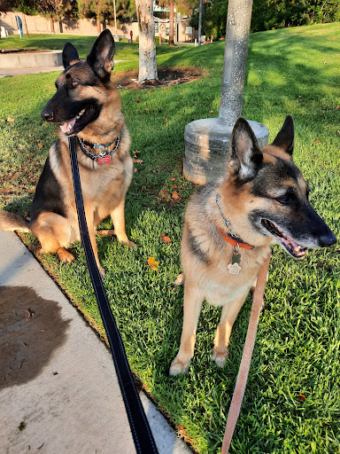 Park «University Community Park», reviews and photos, 1 Beech Tree Ln, Irvine, CA 92612, USA