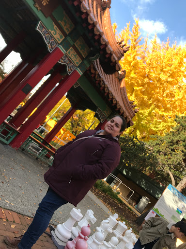 Park «Hing Hay Park», reviews and photos, 423 Maynard Ave S, Seattle, WA 98104, USA