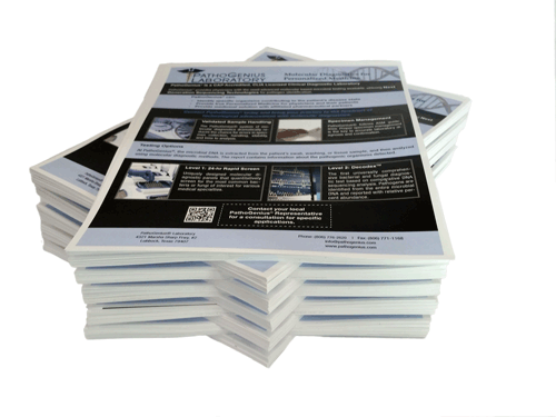 Print Shop «ColorCopiesUSA.com», reviews and photos, 140 NE 32nd Ct, Fort Lauderdale, FL 33334, USA