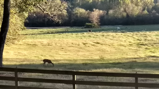 National Park «Kennesaw Mountain National Battlefield Park», reviews and photos, 900 Kennesaw Mountain Dr, Kennesaw, GA 30188, USA