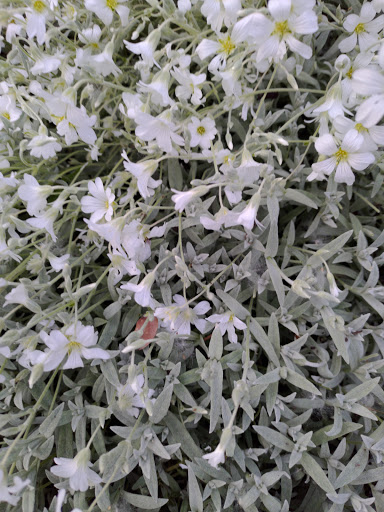 Park «Heritage Park», reviews and photos, 111 Waverly Way, Kirkland, WA 98033, USA