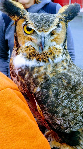 Pet Supply Store «Higbie Farm Supplies Inc», reviews and photos, 3440 Union St, North Chili, NY 14514, USA