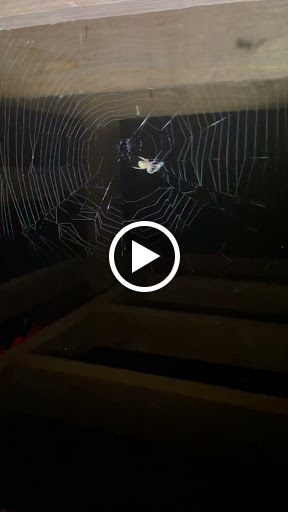 Auto Parts Store «NAPA Auto Parts - Genuine Parts Company», reviews and photos, 14829 Martin Dr, Eden Prairie, MN 55344, USA