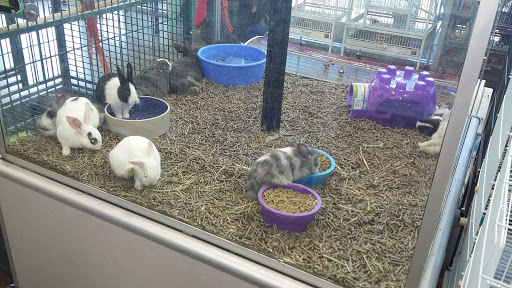 Pet Store «Carters Pet Mart», reviews and photos, 510 N Main St, Manteca, CA 95336, USA