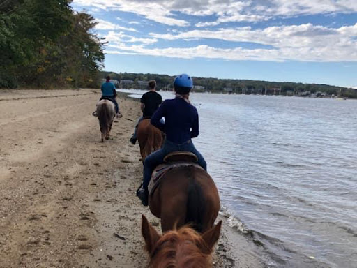 Tourist Attraction «C and L Stables», reviews and photos, 1095 Ives Rd, East Greenwich, RI 02818, USA