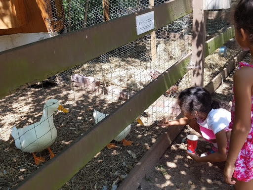 Nature Preserve «Autrey Mill Nature Preserve & Heritage Center», reviews and photos, 9770 Autrey Mill Rd, Johns Creek, GA 30022, USA