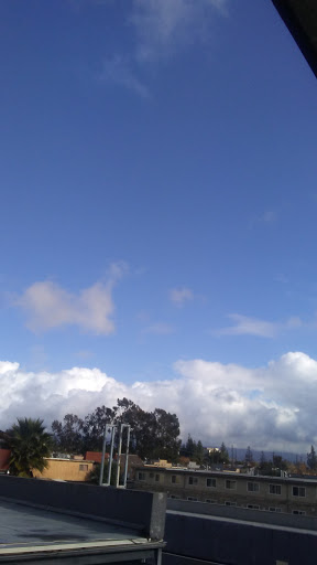 Auto Parts Store «AutoZone», reviews and photos, 8655 Reseda Blvd, Northridge, CA 91324, USA