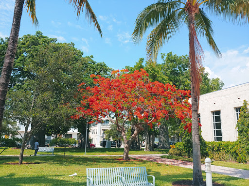 Park «Collins Park», reviews and photos, 2100 Collins Ave, Miami Beach, FL 33140, USA
