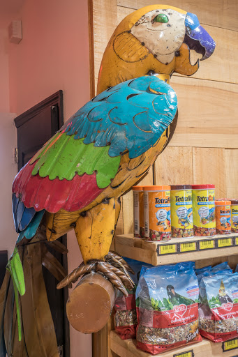 Pet Supply Store «Modern Pet», reviews and photos, 212-77 26th Ave, Bayside, NY 11360, USA
