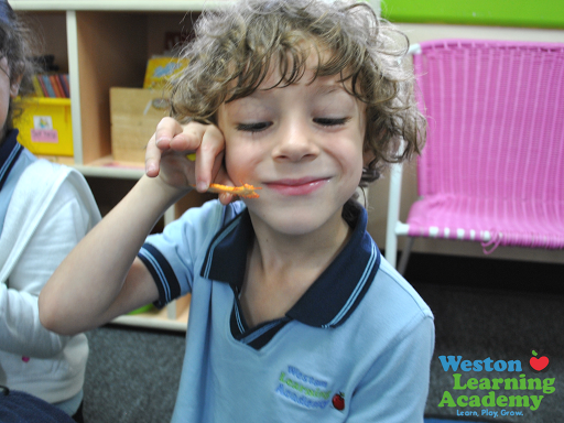 Preschool «Weston Learning Academy», reviews and photos, 16602 Saddle Club Rd, Weston, FL 33326, USA