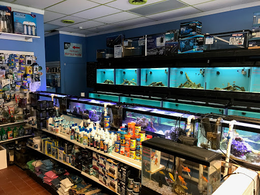 Coral Sea Fish and Pets, 118 N Gaston Ave, Somerville, NJ 08876, USA, 