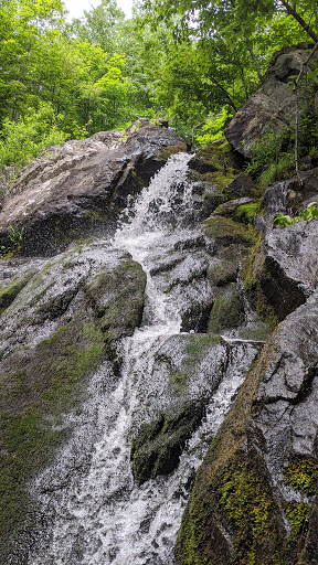 Nature Preserve «The New Weis Center for Education, Arts & Recreation», reviews and photos, 150 Snake Den Rd, Ringwood, NJ 07456, USA