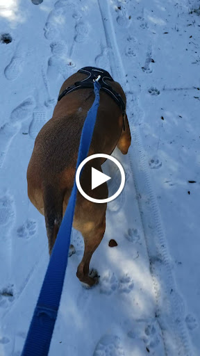 Park «River Legacy Parks», reviews and photos, 701 NE Green Oaks Blvd, Arlington, TX 76006, USA