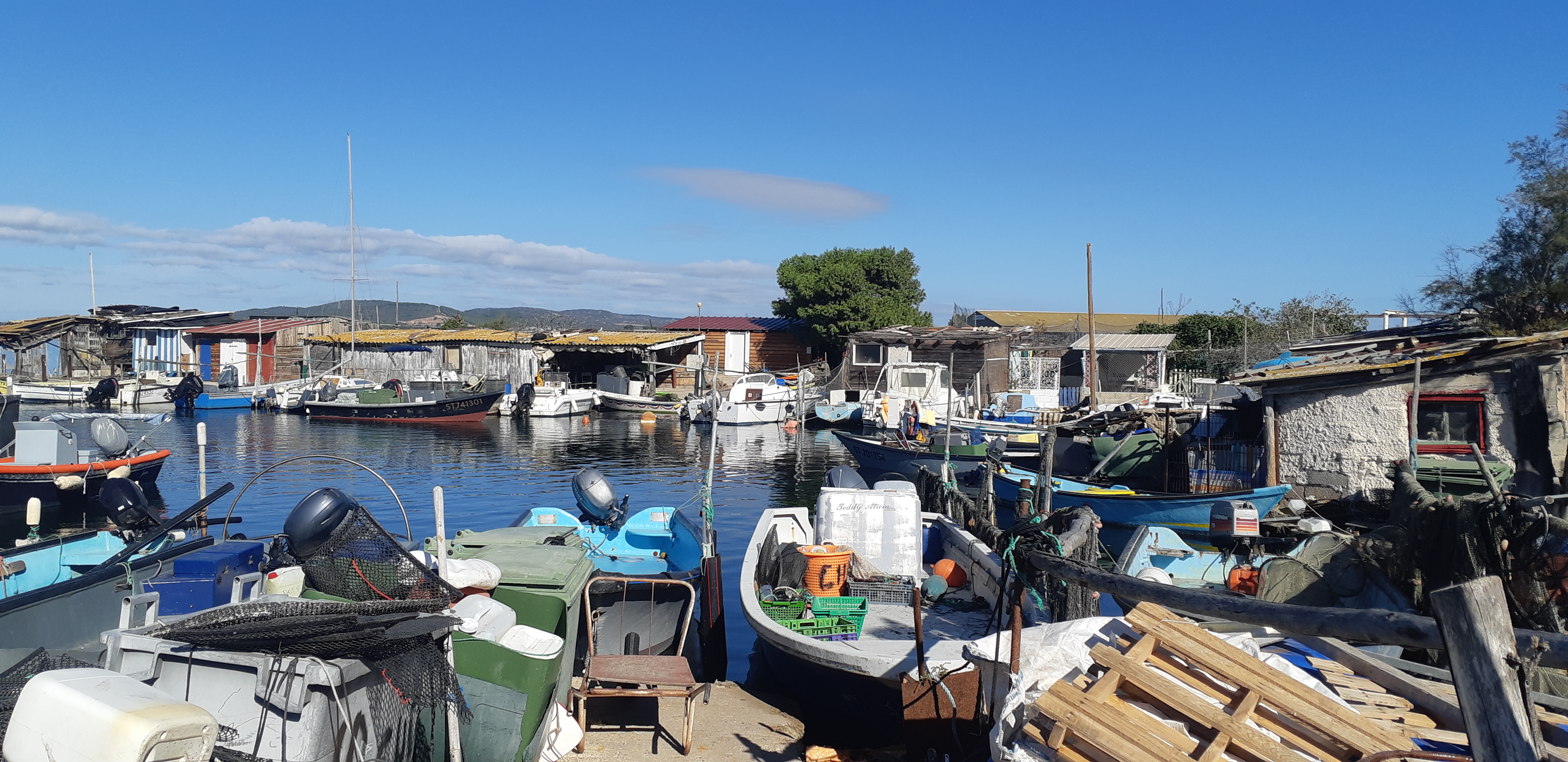 Photo n° 1 de l'avis de Cyril.e fait le 31/10/2023 à 15:17