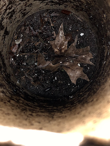 Plumber «RotoKing», reviews and photos, 163 Skinner Dr, New Britain, CT 06053, USA