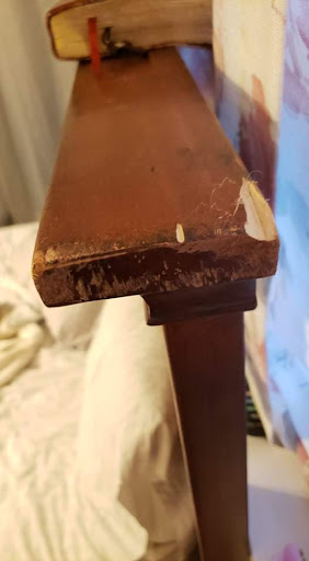 Moving Company «Careful Movers, Inc.», reviews and photos, 8309 Speedway Dr, San Antonio, TX 78230, USA