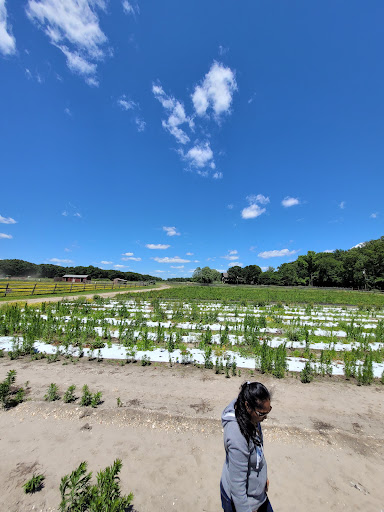 Farm «Giamarese Farm & Orchards», reviews and photos, 155 Fresh Ponds Rd, East Brunswick, NJ 08816, USA