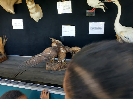 Nature Preserve «Baytown Nature Center», reviews and photos, 6213 Bayway Dr, Baytown, TX 77520, USA