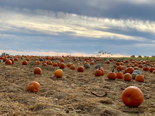 Farm «Alstede Farms», reviews and photos, 1 Alstede Farms Ln, Chester, NJ 07930, USA