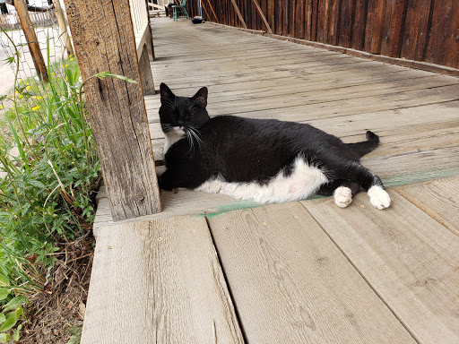 Non-Profit Organization «South Park Historical Foundation», reviews and photos