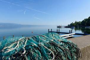Photo n°122 de Les Cygnes - Chez Jules à Margencel ()