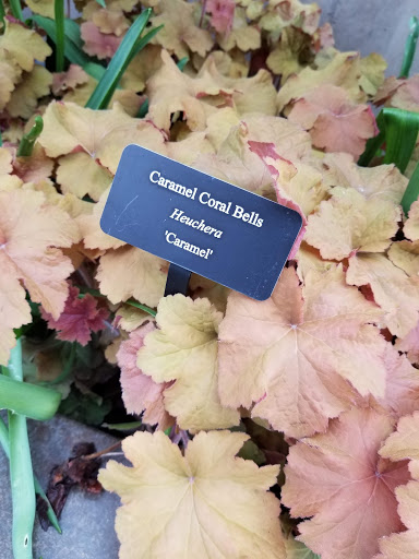 Botanical Garden «Conservation Garden Park», reviews and photos, 8275 1300 W, West Jordan, UT 84088, USA