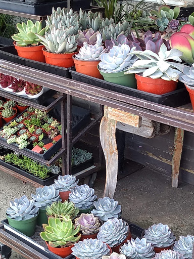 Florist «Enchanted Florist», reviews and photos, 11102 Los Alamitos Blvd, Los Alamitos, CA 90720, USA