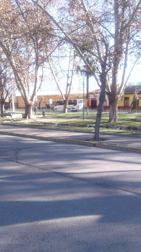 Camara De Comercio De San Felipe Asociacion Gremia - San Felipe
