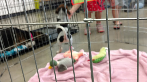 Pet Supply Store «Petco Animal Supplies», reviews and photos, 1011 University Blvd #100, Suffolk, VA 23435, USA