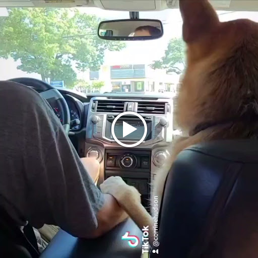 Auto Repair Shop «Kwik Kar Lube & Auto Repair», reviews and photos, 1049 Marsh Ln, Carrollton, TX 75006, USA